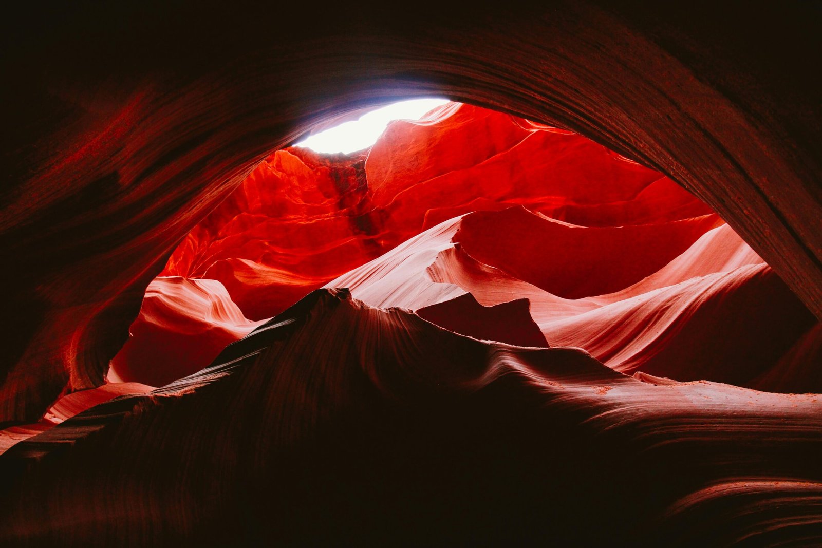 Stand in Awe: The Grand Canyon Experience of a Lifetime